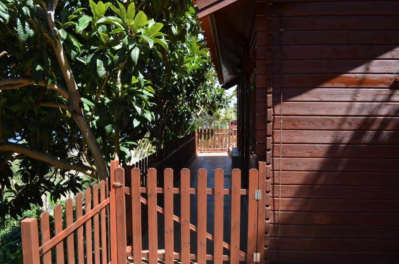 Cabana Los Palmeros, Vista Al Mar Y La Montana Alojera Eksteriør bilde