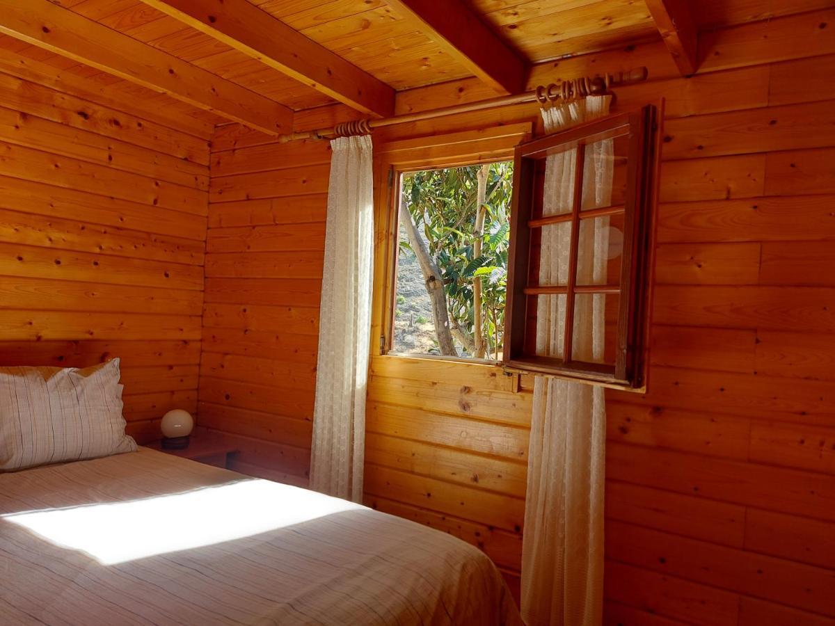 Cabana Los Palmeros, Vista Al Mar Y La Montana Alojera Eksteriør bilde