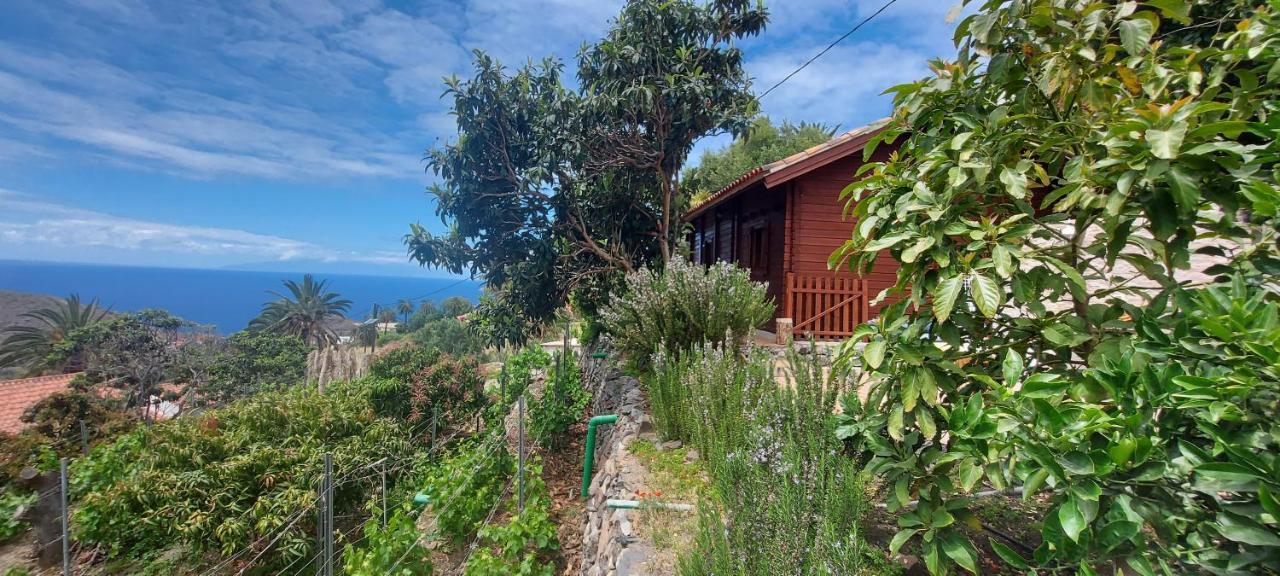 Cabana Los Palmeros, Vista Al Mar Y La Montana Alojera Eksteriør bilde