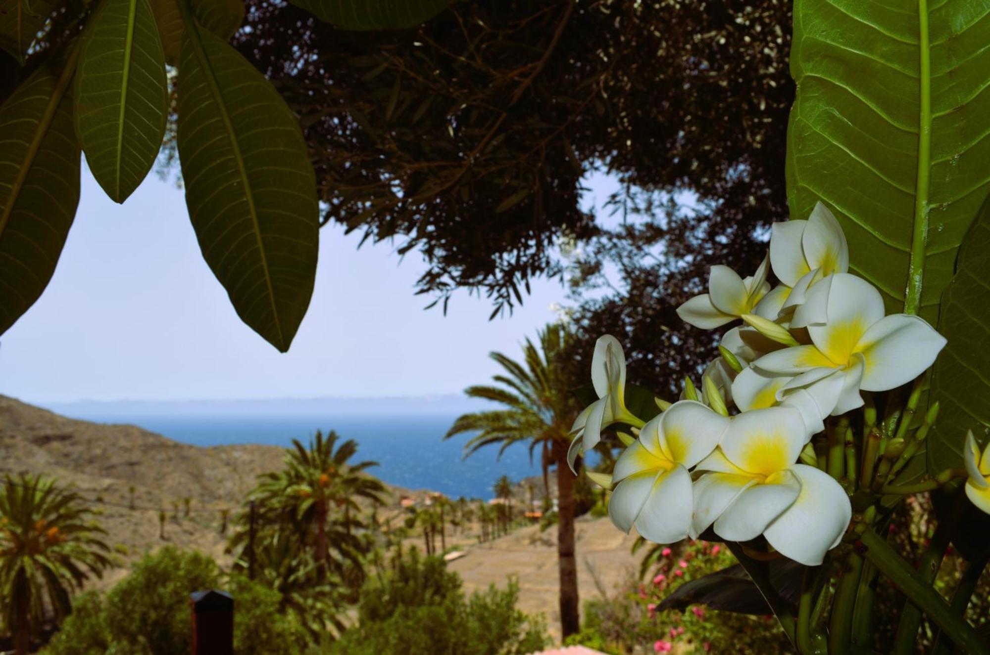 Cabana Los Palmeros, Vista Al Mar Y La Montana Alojera Eksteriør bilde